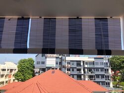 The Verandah Residences (D5), Apartment #582768411